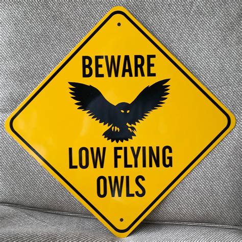 Beware Low Flying Owls Free Priority Shipping Cape Corals Etsy