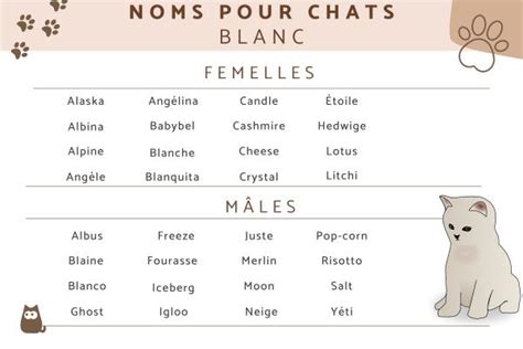 200 idées de noms pour CHAT BLANC mâle et femelle