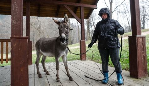 Kręcony na Podkarpaciu film IO Jerzego Skolimowskiego został