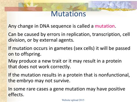 Ch 124 Gene Regulation And Mutation