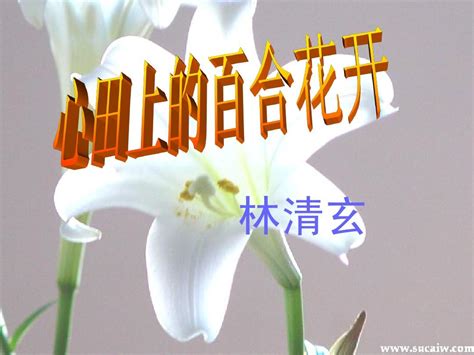 鲁教《心田上的百合花开》课件word文档在线阅读与下载无忧文档