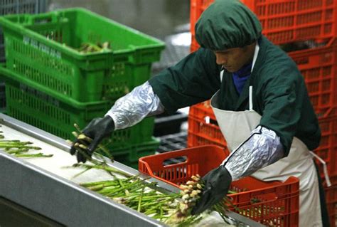 América Representó El 59 De Las Agroexportaciones Peruanas En El Primer Bimestre Del Año