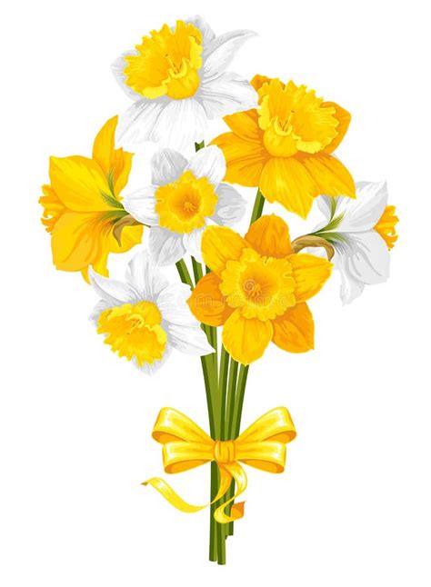 Daffodils Stock Vector Illustration Of Greeting Floral 38974579