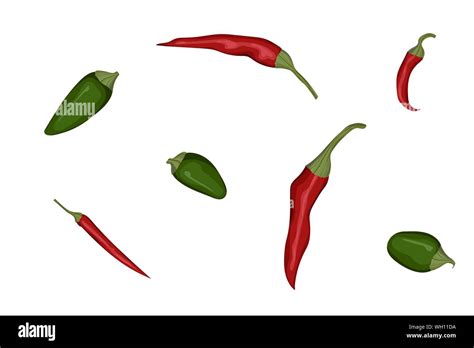 Green Jalapeno And Red Hot Chillies Vector Illustration Spicy Vegetable Stock Vector Image