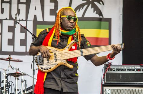 The Importance Of Reggae Rhythm And Basslines