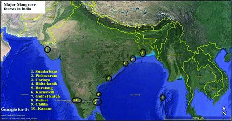 1 Ten major mangrove forests in India. | Download Scientific Diagram