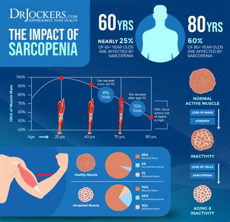 Sarcopenia Top Strategies To Keep Muscle Mass As You Age