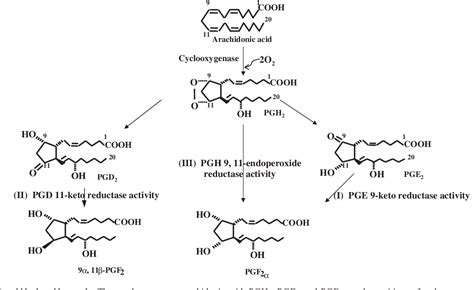 Jb Commentary Recent Reports About Enzymes Related To The Synthesis Of