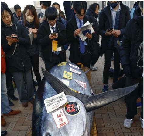 This 525 Pound Bluefin Tuna Just Sold For Nearly 800 000 At Tokyos