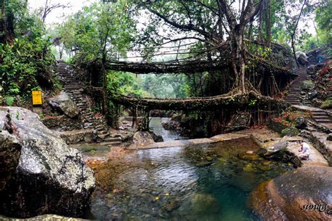 Meghalaya Travel Guide: What You Need to Know Before You Go