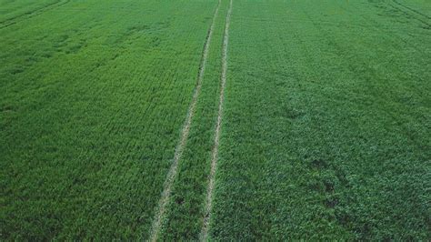 Ar Answers To The The Beet Fields 9