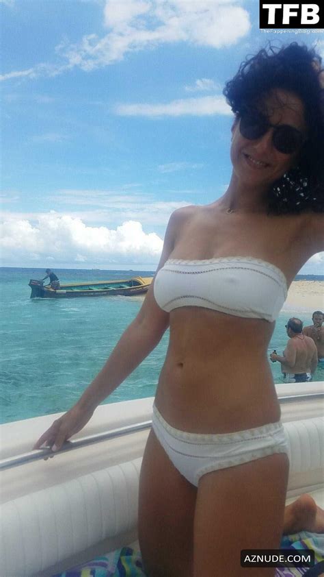 Emmanuelle Chriqui Sexy Poses Showcasing Her Hot Tits In Various Selfies Aznude