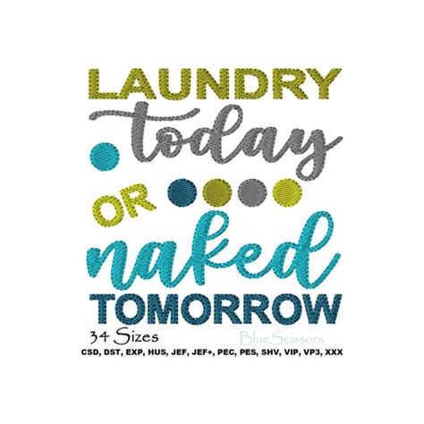Laundry Today Or Naked Tomorrow Etsy