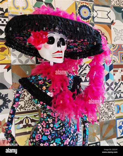 La catrina dia de muertos esqueleto fotografías e imágenes de alta