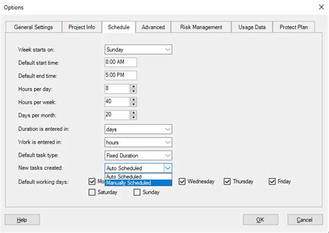 Manual Tasks Project Plan 365