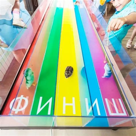 Мышиные бега в аренду