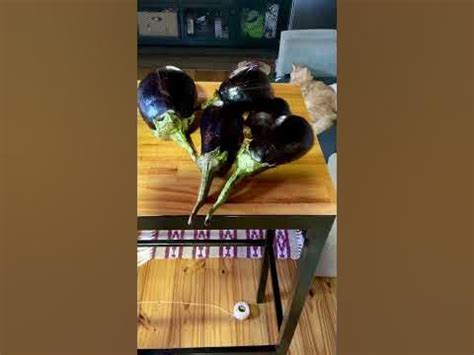 Готовим в Аргентине | Лазанья из баклажанов без глютена - YouTube