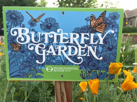 Butterfly Garden Kit – Environmental Action Shop