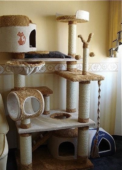 Домики для котят