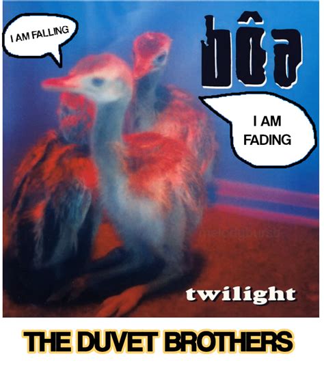 The Duvet Brothers The IPod Brothers The Fuck You Brothers Sniff