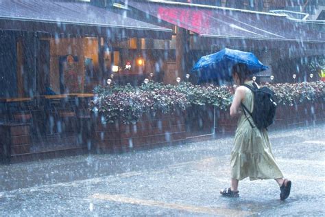 強風、瞬間強降雨「劇烈天氣」今起五天 未來一周防午後雷雨 上報 Line Today