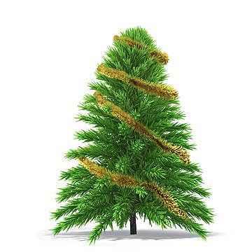 Cartoon Conifer Tree Isolated Conifer Tree Picture Tree Vector Conifer