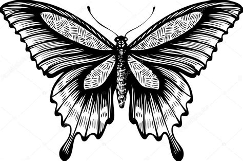 Mariposa estilo gráfico dibujado a mano blanco y negro aislaron