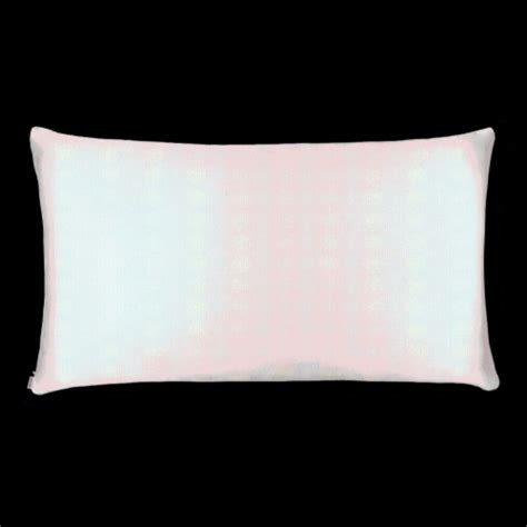 Shhh Silk Nude Silk Pillowcase King Size Zippered Pc Kroger