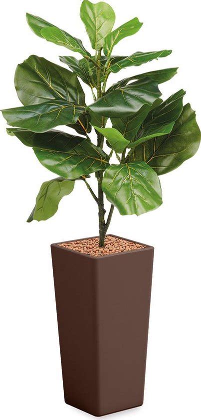 Htt Kunstplant Ficus Lyrata In Clou Vierkant Bruin H Cm Bol