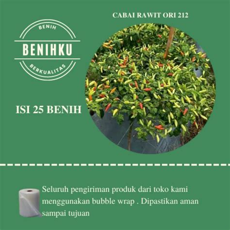 jual  benih cabai rawit ori  repacking benih cabai rawit
