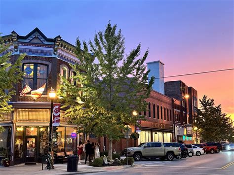 animal rescue springfield mo 8