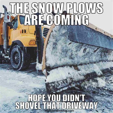 40 Best Snow Memes for Laughing at Winter Weather - CohaiTungChi Tech