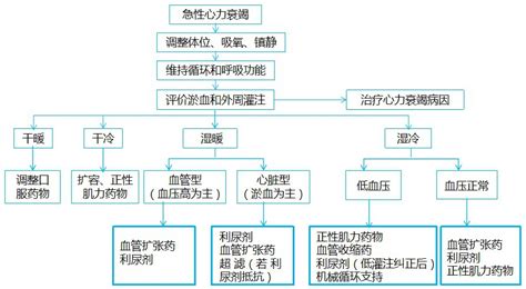 急性心力衰竭如何用药请收下这份超全总结 好医术早读文章 好医术 赋能医生守护生命