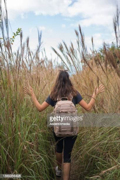 Women Walking Through Tall Grass Photos And Premium High Res Pictures