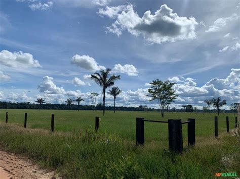 Fazendas Em Rondonia A Venda