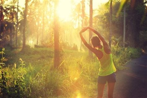 Los Mejores Estiramientos Previos Al Ejercicio Vida Con Salud