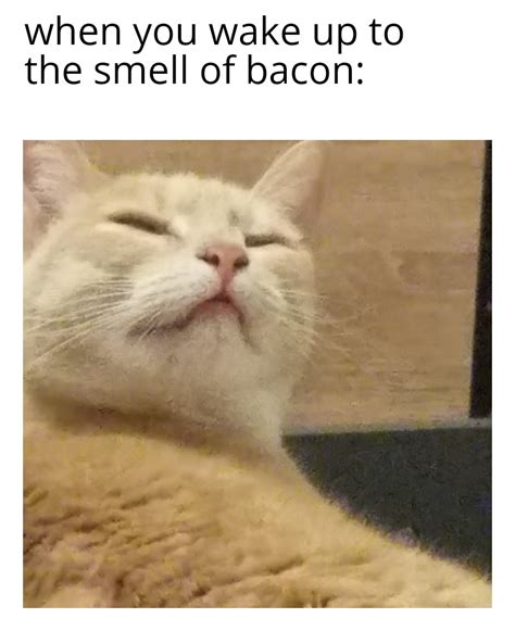 Bacon pancakes : r/memes