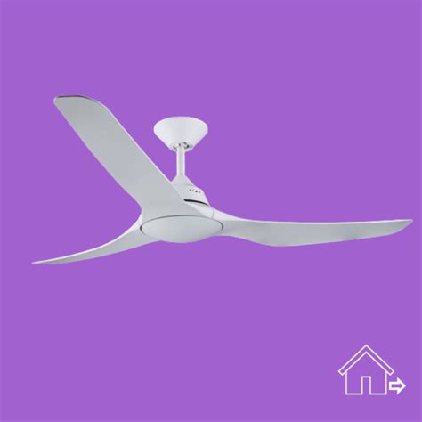 outdoor ceiling fans