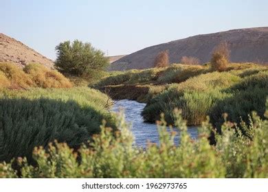 loa river images stock  vectors shutterstock