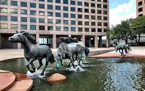 THE 15 BEST Things to Do in Irving - 2021 (with Photos) - Tripadvisor