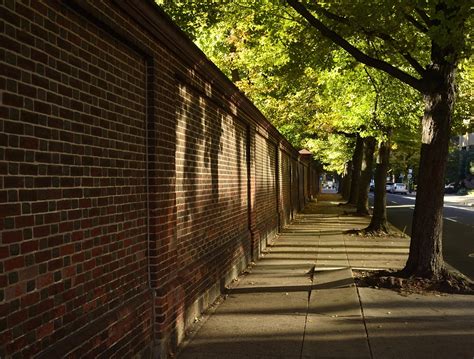 Brick Wall Street Sidewalk Shade Free Photo On Pixabay