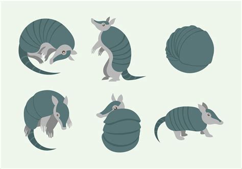 Armadillo Character Pose Vector Flat Illustration 158665 Vector Art At