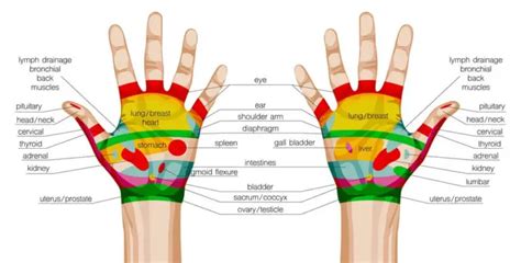 Reflexology For Constipation - TCM Tips