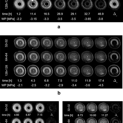 A T2 Product Maps Of Xylem Embolism Formation In Spruce A And Beech