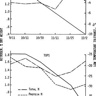 Changes In Tissue N During Cold Acclimation Protein N Expressed As D