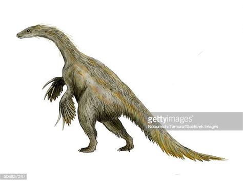 Therizinosaurus Photos and Premium High Res Pictures - Getty Images