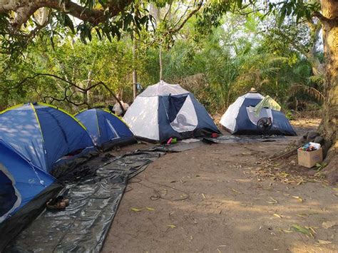 Pol Cia Desmonta Acampamento Ilegal De Pesca S Margens Do Rio