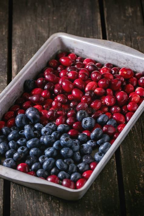 Cranberries And Blueberries Stock Photo Image Of Blueberry