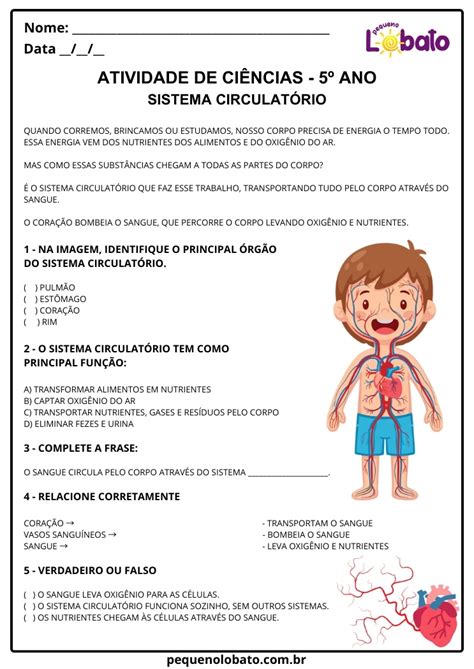 Atividades Sobre Sistema Circulatório - Atividades de Ciências 5º Ano – Sistema Circulatório: Distribuição de ...