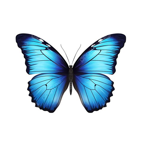 Imagem De Borboletas Azul - Imagem De Borboleta Azul Sonhadora Brilhante Png Borboleta Borboleta ...